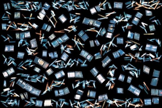 David Aquino, Beautiful Chaos, 2025